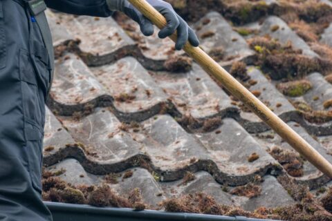 Shrewsbury Roof Moss Removal Experts
