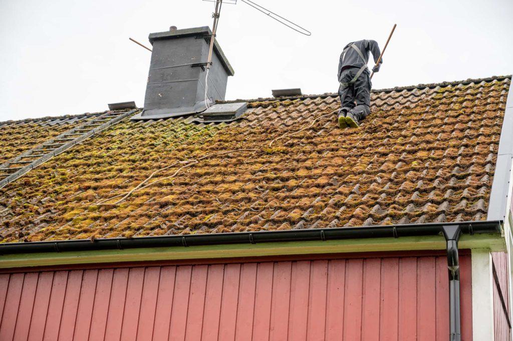 Roof moss removal services Shrewsbury