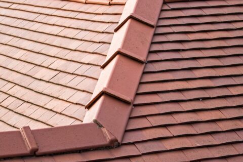 Dry Ridge and Dry Verge Experts Shrewsbury